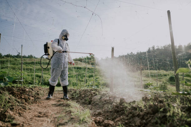 Best Termite Control Services  in Spanay, WA