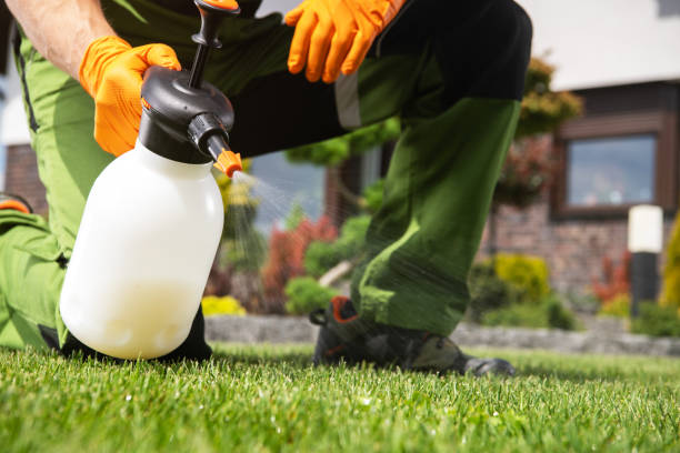 Best Affordable Pest Control Services  in Spanay, WA