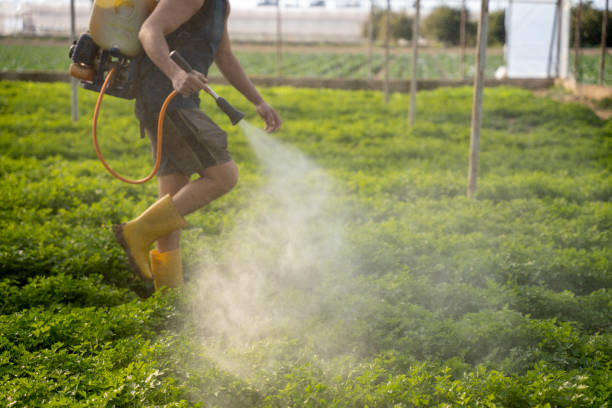 Best Insect Control  in Spanay, WA