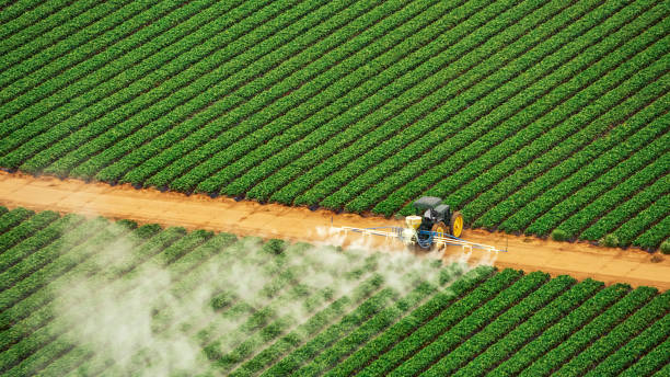 Best Wasp Removal Services  in Spanay, WA